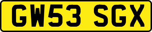 GW53SGX