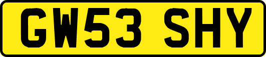 GW53SHY