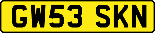 GW53SKN