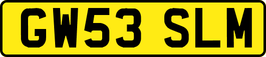GW53SLM
