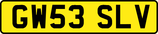 GW53SLV