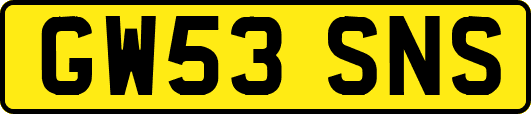 GW53SNS