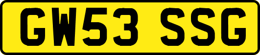 GW53SSG