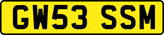 GW53SSM