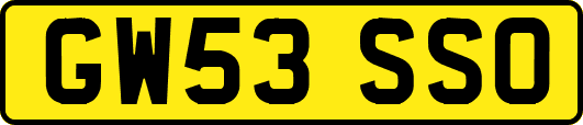 GW53SSO