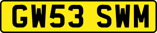 GW53SWM