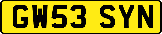GW53SYN
