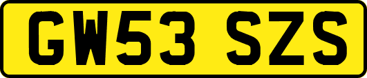 GW53SZS