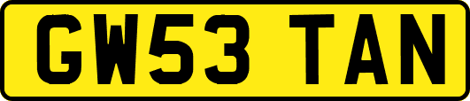 GW53TAN