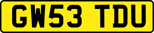 GW53TDU