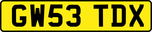 GW53TDX