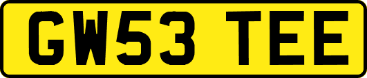 GW53TEE