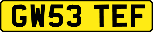 GW53TEF