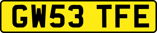 GW53TFE