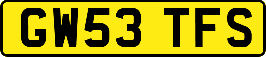 GW53TFS