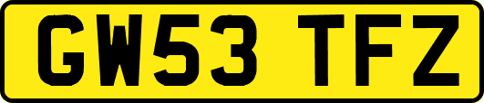 GW53TFZ