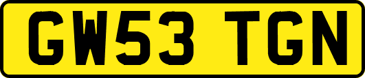 GW53TGN