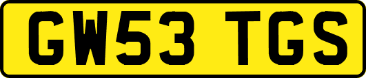 GW53TGS