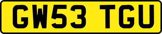GW53TGU