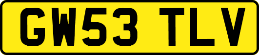 GW53TLV
