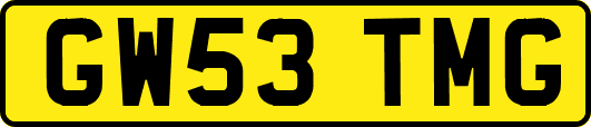 GW53TMG