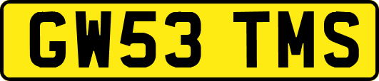 GW53TMS