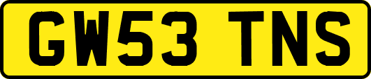 GW53TNS