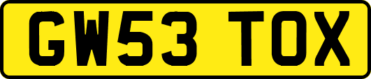 GW53TOX