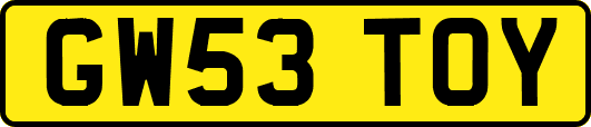 GW53TOY