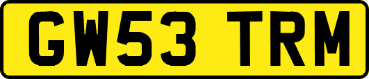 GW53TRM