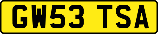 GW53TSA