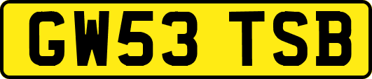 GW53TSB