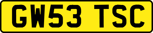 GW53TSC