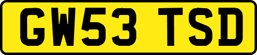 GW53TSD