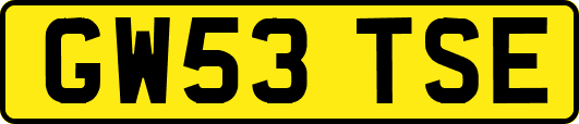 GW53TSE