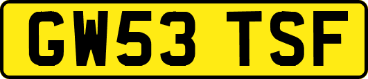 GW53TSF