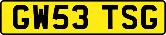 GW53TSG