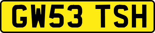 GW53TSH