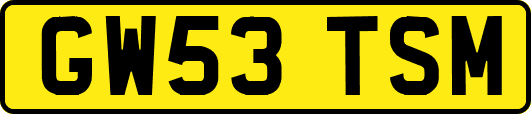 GW53TSM