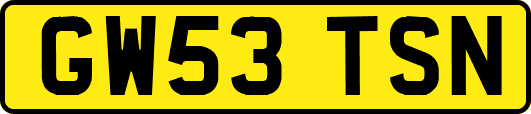GW53TSN