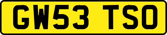 GW53TSO