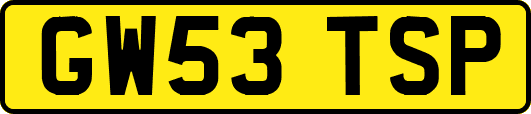 GW53TSP