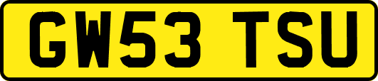 GW53TSU