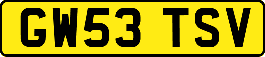GW53TSV