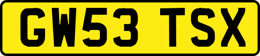 GW53TSX