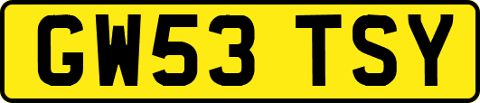 GW53TSY