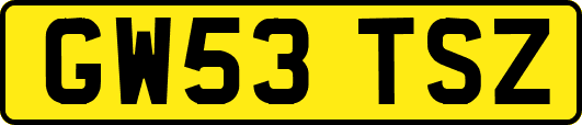 GW53TSZ