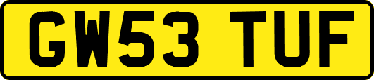 GW53TUF