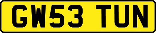 GW53TUN