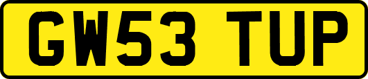 GW53TUP